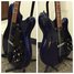 Rickenbacker 360/12 BH BT, Midnightblue: Free image