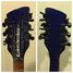 Rickenbacker 360/12 BH BT, Midnightblue: Headstock - Rear