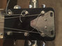 Rickenbacker BD/6 LapSteel, Black: Close up - Free