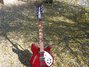 Rickenbacker 360/12 VP, Burgundy: Full Instrument - Front