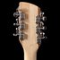 Rickenbacker 1993/12 Plus, Mapleglo: Headstock - Rear