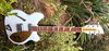 Rickenbacker 360/6 PW Refin, Snowglo: Free image2