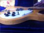 Rickenbacker 330/12 , Mapleglo: Free image