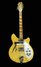 Rickenbacker 366/12 , Mapleglo: Full Instrument - Front