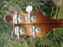 Rickenbacker 4001/4 , Autumnglo: Headstock - Rear