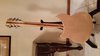 Rickenbacker 370/12 , Mapleglo: Full Instrument - Rear