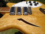 Rickenbacker 370/12 , Mapleglo: Free image