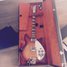 Rickenbacker 365/6 , Fireglo: Full Instrument - Front