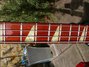 Rickenbacker 4003/4 BH BT, Red: Neck - Front
