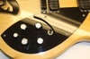 Rickenbacker 360/12 BH BT, Mapleglo: Free image