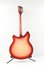 Rickenbacker 360/12 , Fireglo: Full Instrument - Rear