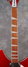 Rickenbacker 1993/12 Plus, Ruby: Neck - Front