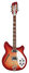 Rickenbacker 360/12 , Fireglo: Full Instrument - Front