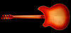 Rickenbacker 360/6 , Amber Fireglo: Full Instrument - Rear