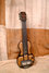 Rickenbacker BD/6 Bronson, Brown: Full Instrument - Front