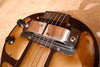 Rickenbacker BD/6 Bronson, Brown: Close up - Free2