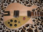 Rickenbacker 660/6 , Mapleglo: Body - Front