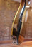 Rickenbacker 4001/4 BT, Walnut: Free image2