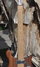 Rickenbacker 650/6 Dakota, Natural Walnut: Neck - Front