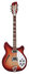 Rickenbacker 360/12 , Fireglo: Full Instrument - Front