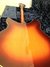 Rickenbacker 360/6 WB VP, Fireglo: Full Instrument - Rear