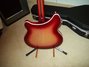 Rickenbacker 360/6 , Fireglo: Full Instrument - Rear