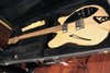 Rickenbacker 360/12 BH BT, Mapleglo: Full Instrument - Front