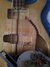 Rickenbacker 4001/4 Mod, Mapleglo: Close up - Free