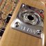 Rickenbacker 330/6 , Mapleglo: Close up - Free