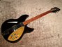 Rickenbacker 330/6 75th Ann, DCMetallic: Full Instrument - Front