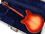 Rickenbacker 360/6 , Fireglo: Full Instrument - Rear