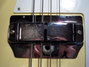 Rickenbacker 4001/4 CS, Cream: Close up - Free