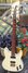 Rickenbacker 250/6 El Dorado, White: Full Instrument - Front