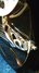 Rickenbacker 330/12 , Jetglo: Free image2