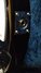 Rickenbacker 330/12 , Jetglo: Close up - Free