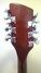 Rickenbacker 620/12 , Ruby: Headstock - Rear