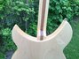 Rickenbacker 330/6 , Mapleglo: Body - Rear