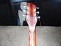 Rickenbacker 330/6 Mod, Fireglo: Free image