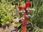 Rickenbacker 4005/4 , Fireglo: Headstock - Rear