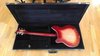 Rickenbacker 360/6 , Fireglo: Full Instrument - Rear