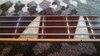 Rickenbacker 4001/4 Mod, Jetglo: Neck - Front