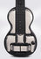 Rickenbacker B/6 , Black: Body - Front