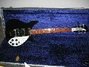 Rickenbacker 355/6 JL, Jetglo: Full Instrument - Front