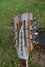 Rickenbacker 370/12 , Mapleglo: Headstock