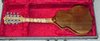 Rickenbacker 5002/8 , Mapleglo: Full Instrument - Rear