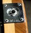 Rickenbacker 5002/8 , Mapleglo: Close up - Free