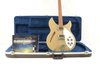 Rickenbacker 330/6 , Desert Gold: Close up - Free2