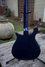 Rickenbacker 660/6 , Midnightblue: Full Instrument - Rear