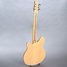 Rickenbacker 360/6 , Mapleglo: Full Instrument - Rear