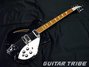 Rickenbacker 360/6 , Jetglo: Full Instrument - Front